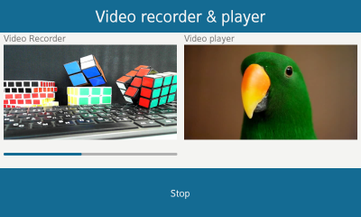 Video recorder and player