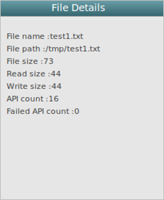 File Details view