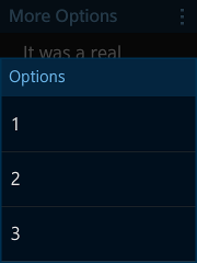 More options component in a rectangular device