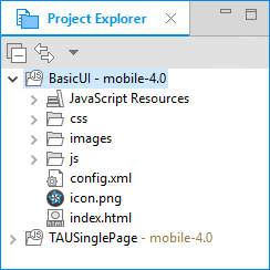 Project Explorer